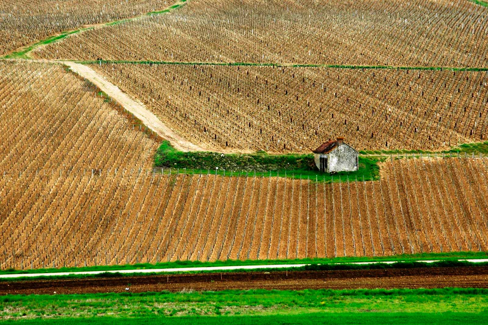 First Taste Guide To Chablis Burgundy Wine Opening A Bottle - 