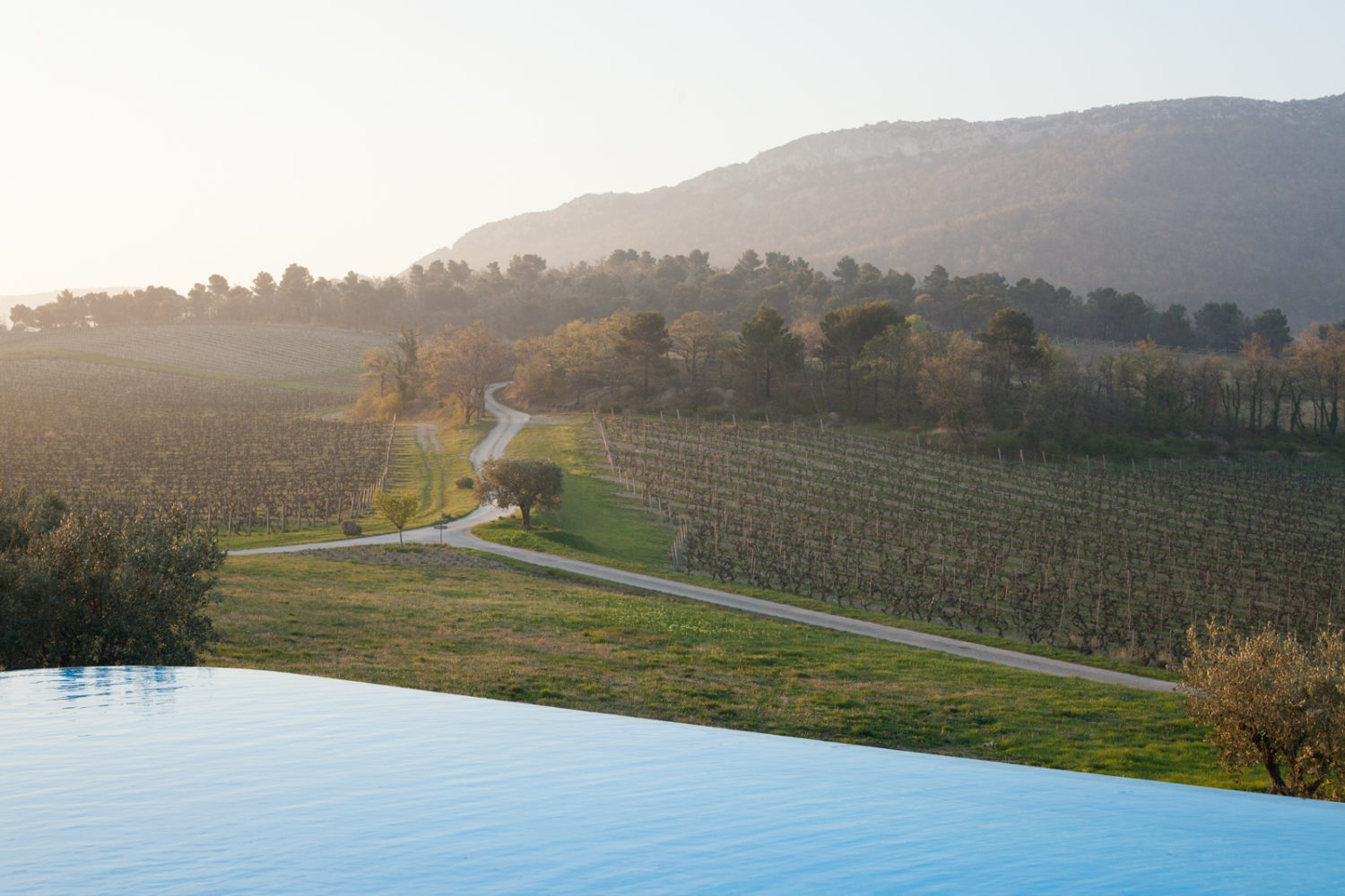 Dawn at Chêne Bleu and La Verrière with the northern slope of the Dentelles de Montmirail in the distance. ©Kevin Day / Opening a Bottle