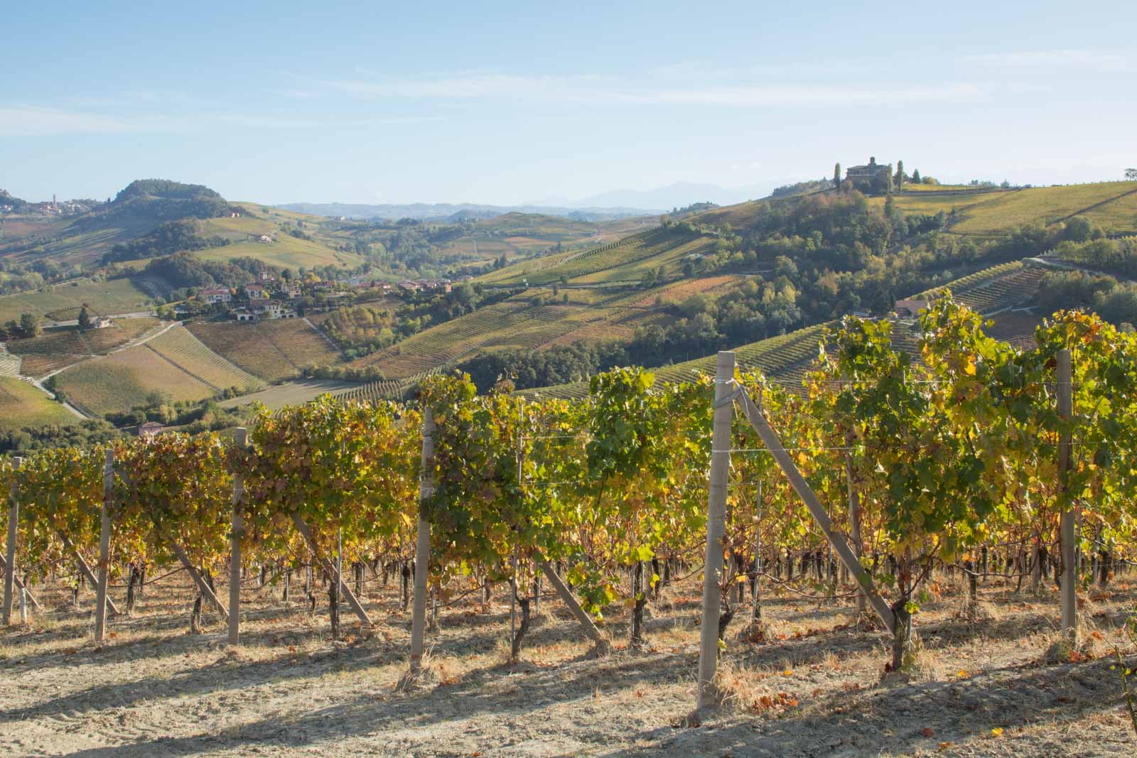 Bottle Notes Eye In Sky >> Cerequio Cru Barolo A Vineyard S Story La Morra Italy Opening Bottle Notes Eye In Sky >> Cerequio Cru Barolo A Vineyard S Story La Morra Italy Opening