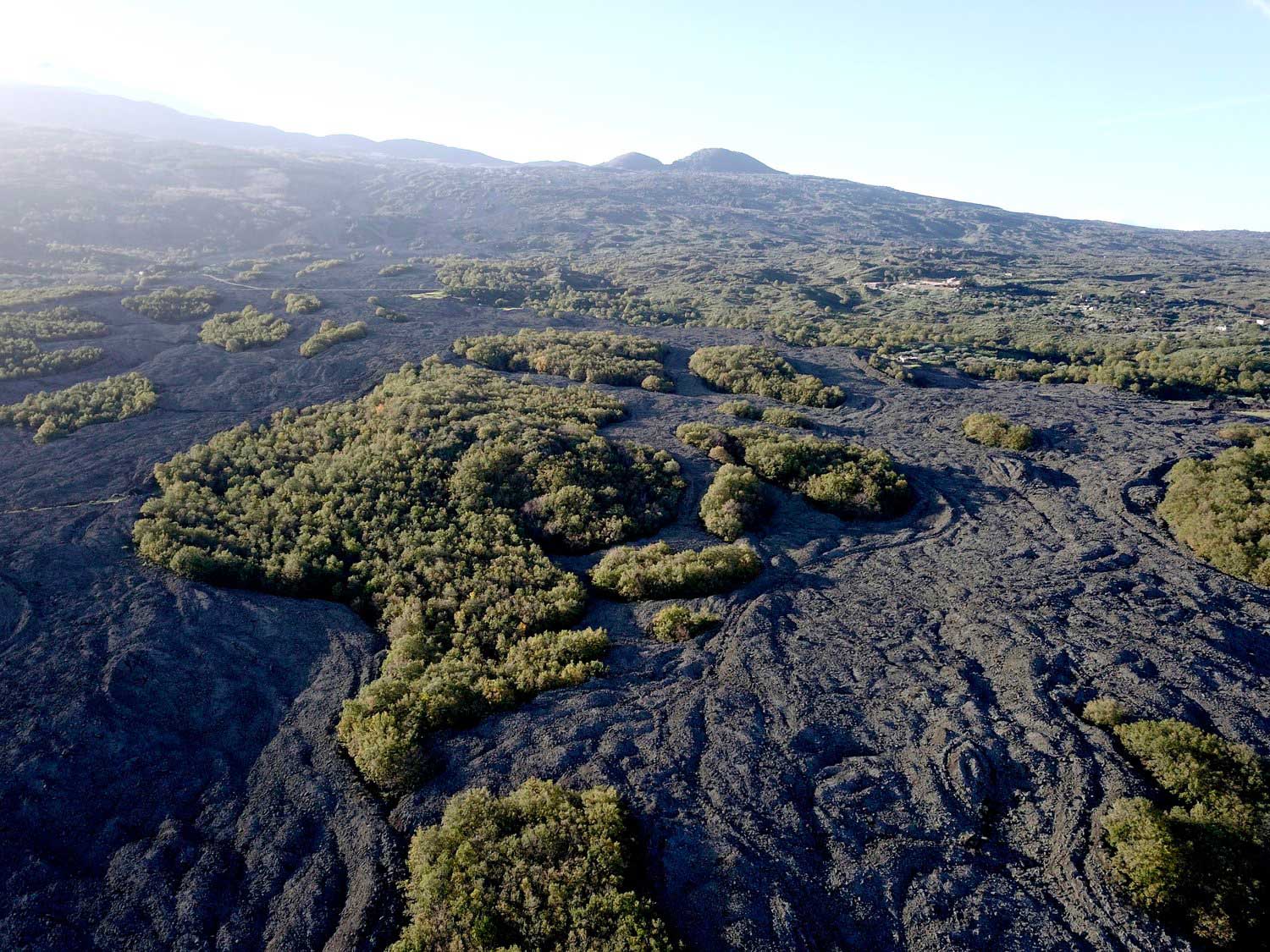 The lava flows on Mount Etna create a seemingly chaotic tapestry of ecosystems, but the processes at work to turn lava into soil are actually quite systematic. ©Passopisciaro